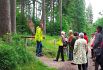 Fachkundige F�hrung durch den Weltwald, Landesarboretum im Kranzberger Forst