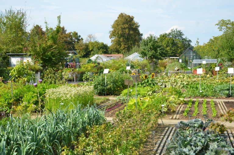 Kleingarten
