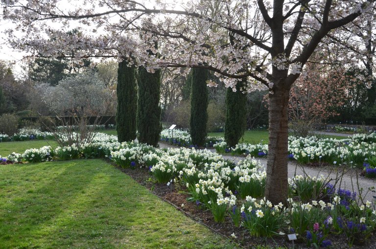 Oberdieckgarten