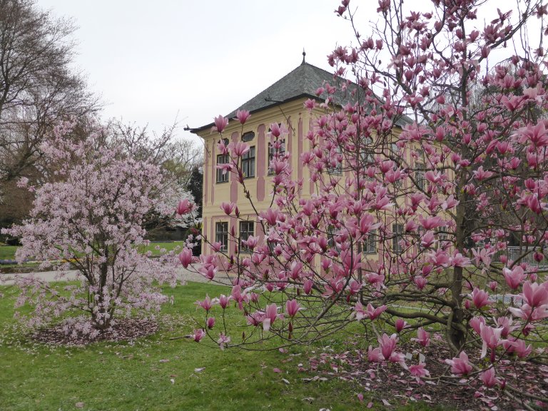 Hofgarten